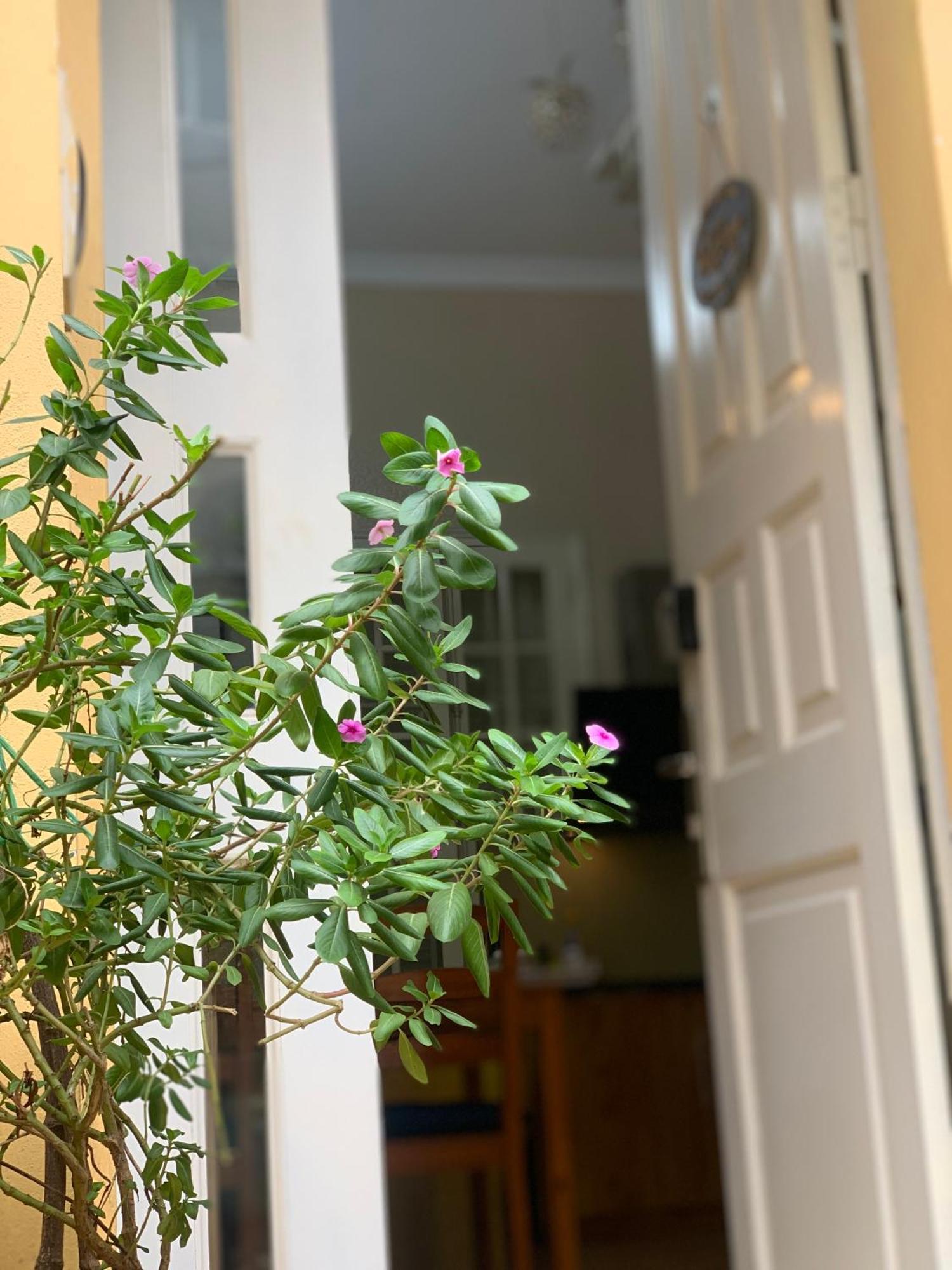 Charmcham House Apartment Hanoi Luaran gambar