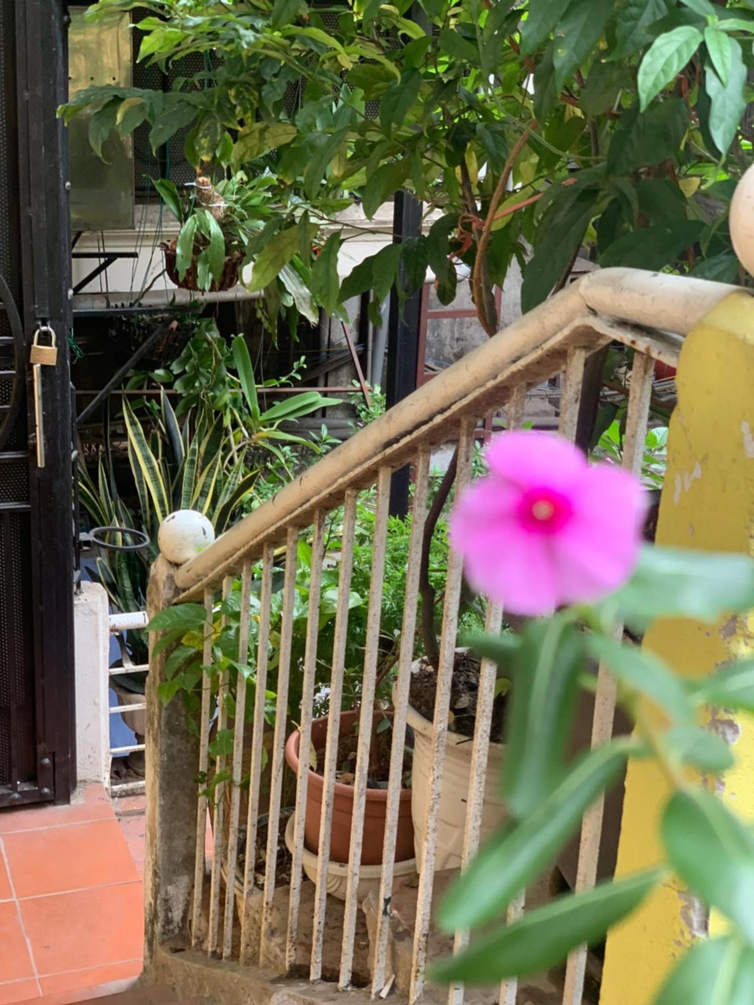 Charmcham House Apartment Hanoi Luaran gambar