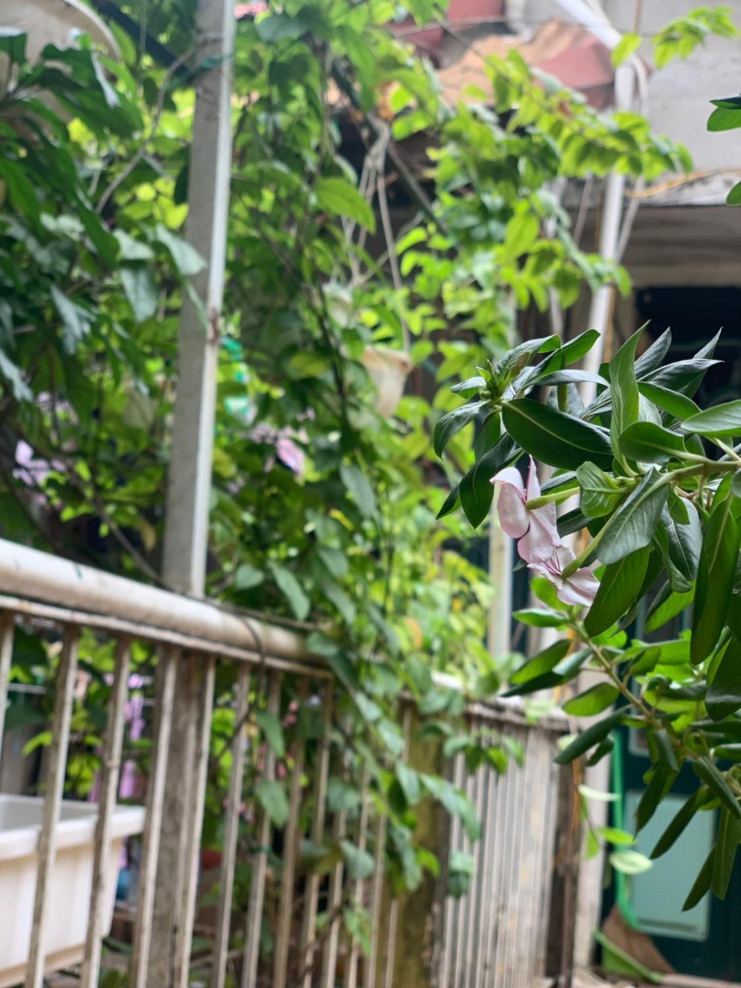 Charmcham House Apartment Hanoi Luaran gambar
