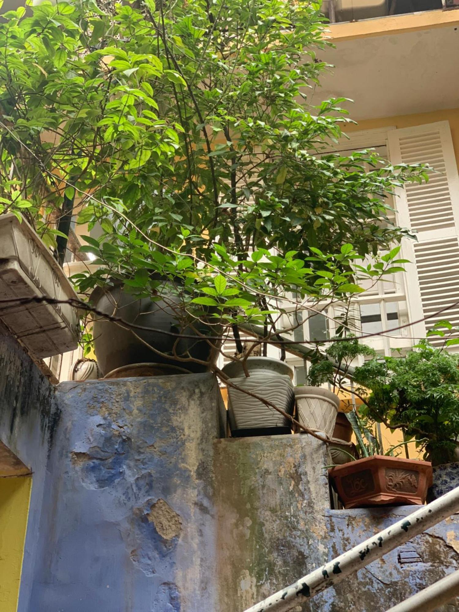 Charmcham House Apartment Hanoi Luaran gambar