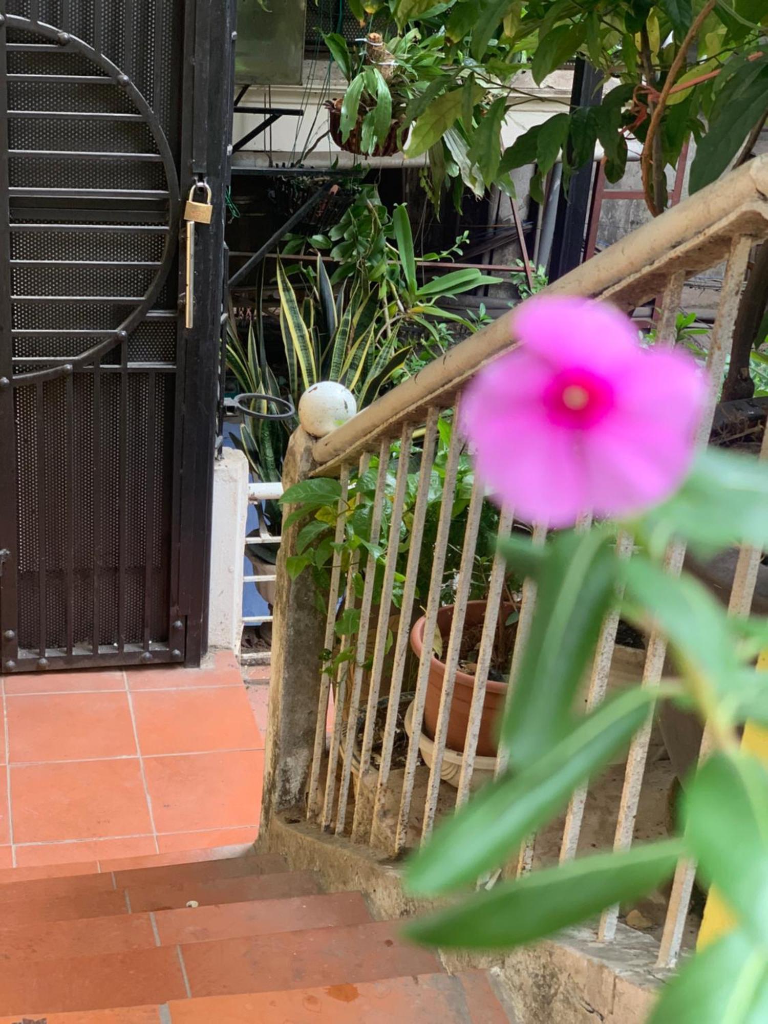 Charmcham House Apartment Hanoi Luaran gambar