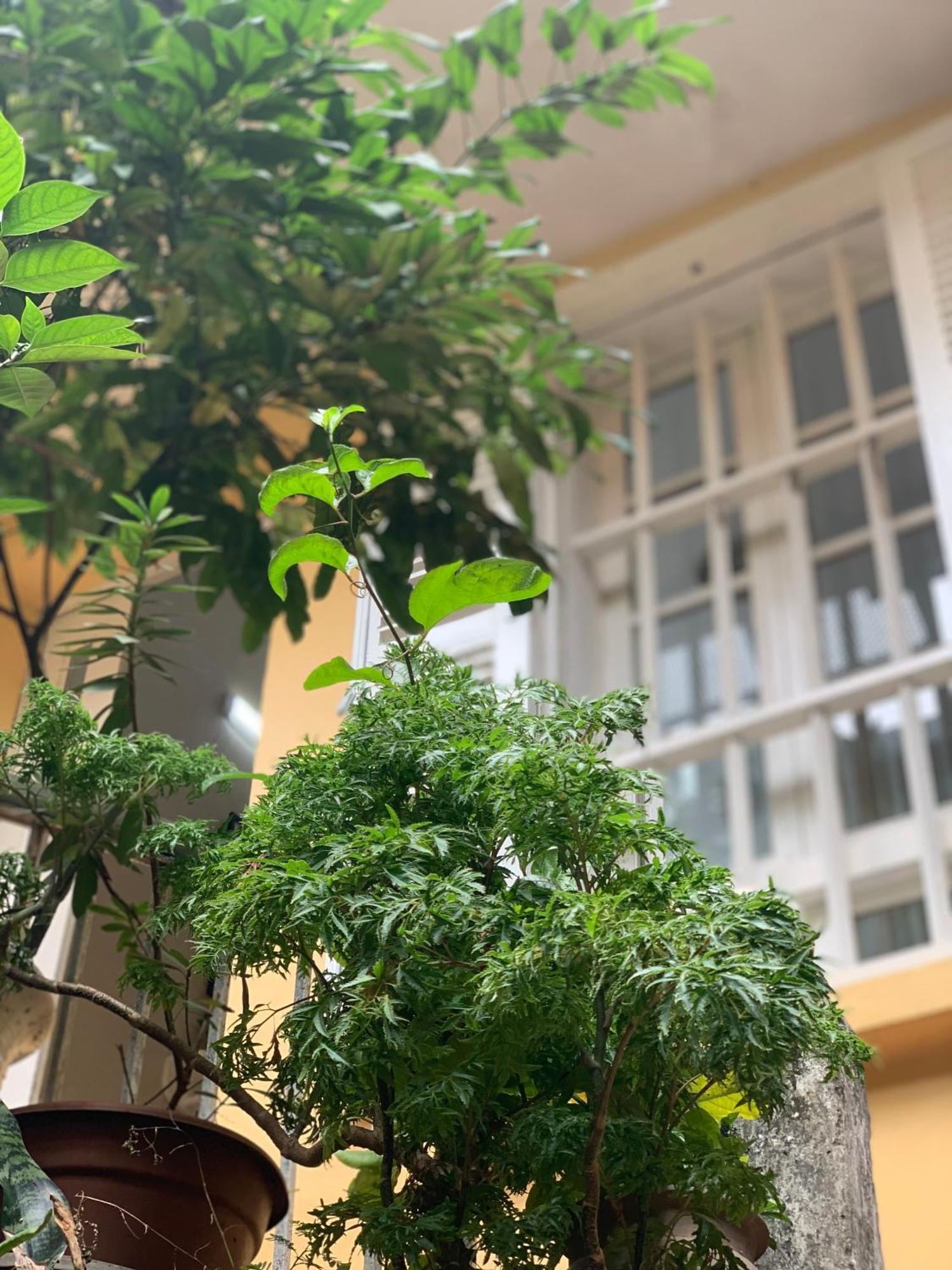 Charmcham House Apartment Hanoi Luaran gambar